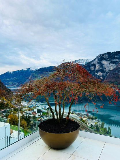 Aluminiumtröge  – Pflanzgefäße auch nach Maß