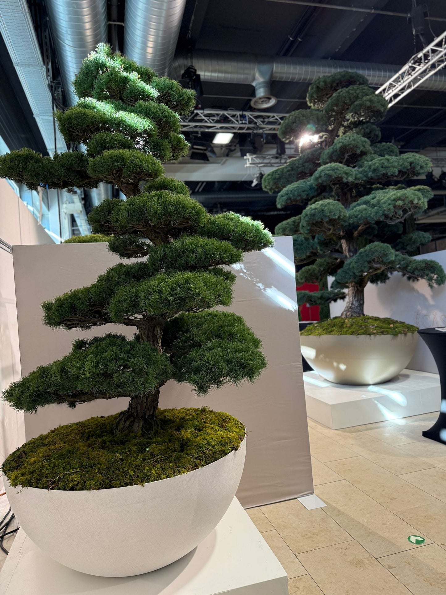 Aluminiumtröge  – Pflanzgefäße auch nach Maß