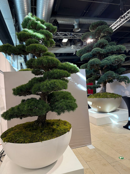 Aluminiumtröge  – Pflanzgefäße auch nach Maß