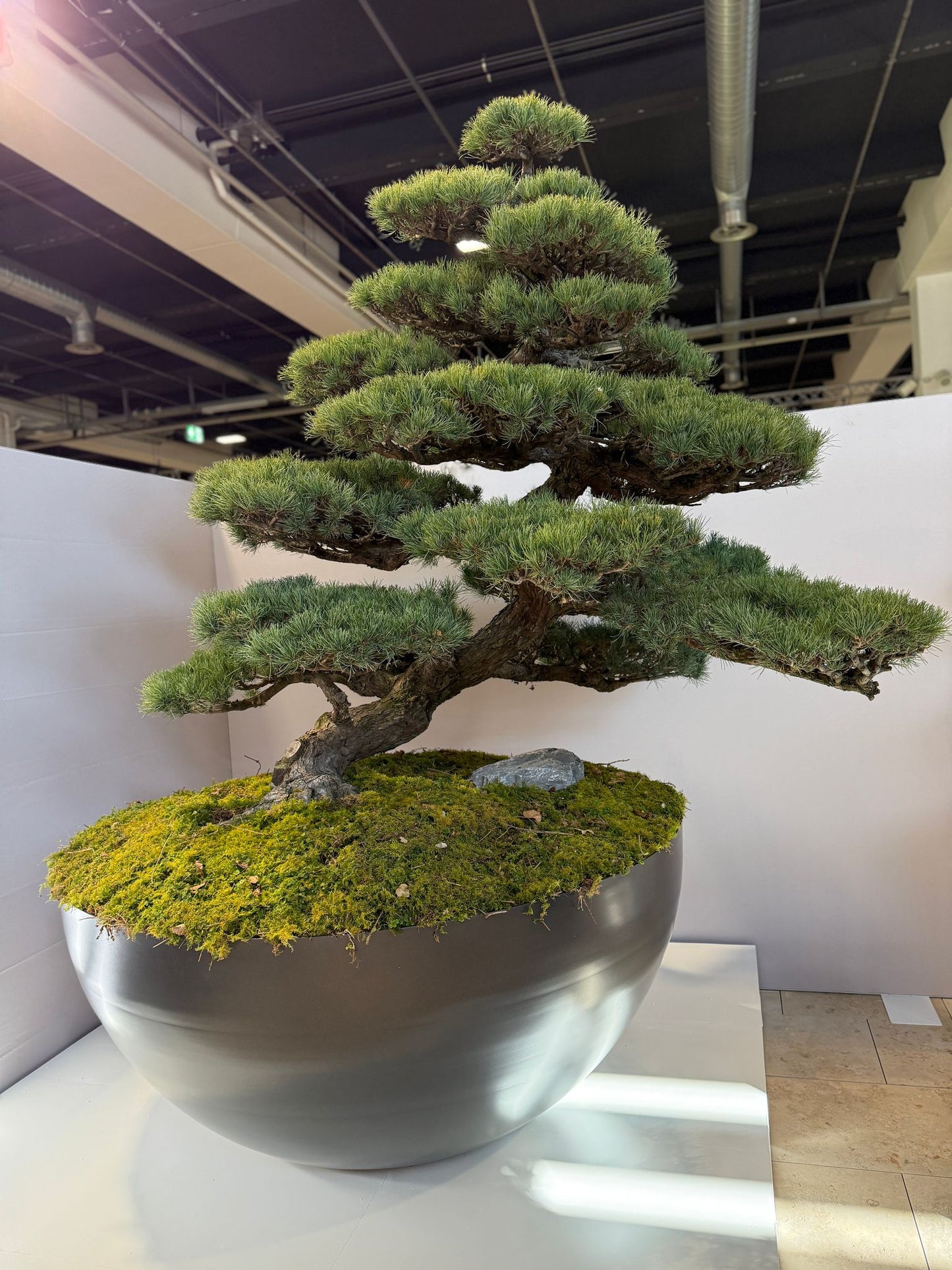 Aluminiumtröge  – Pflanzgefäße auch nach Maß