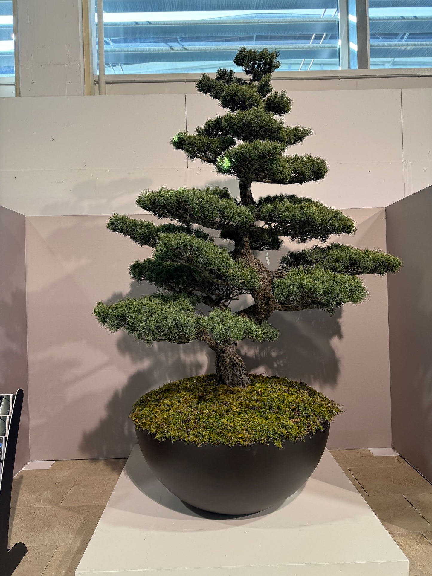 Aluminiumtröge  – Pflanzgefäße auch nach Maß