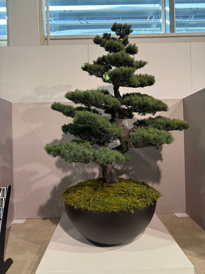 Aluminiumtröge  – Pflanzgefäße auch nach Maß