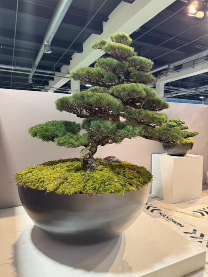 Aluminiumtröge  – Pflanzgefäße auch nach Maß